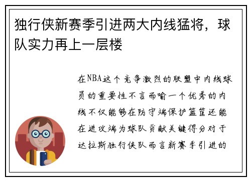 独行侠新赛季引进两大内线猛将，球队实力再上一层楼